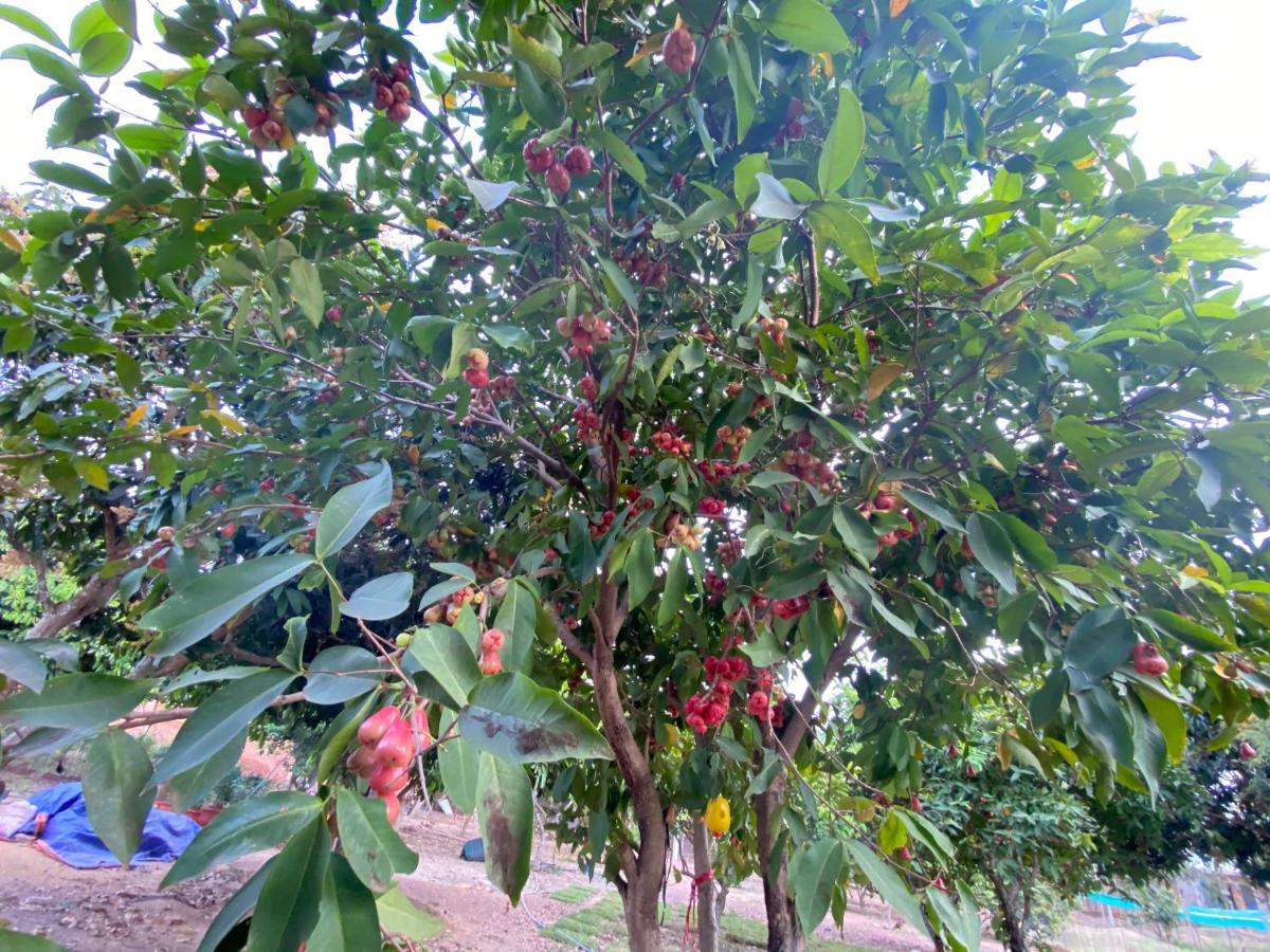 Family Garden House At Tri An Lake, Dong Nai Phu Cuong 外观 照片